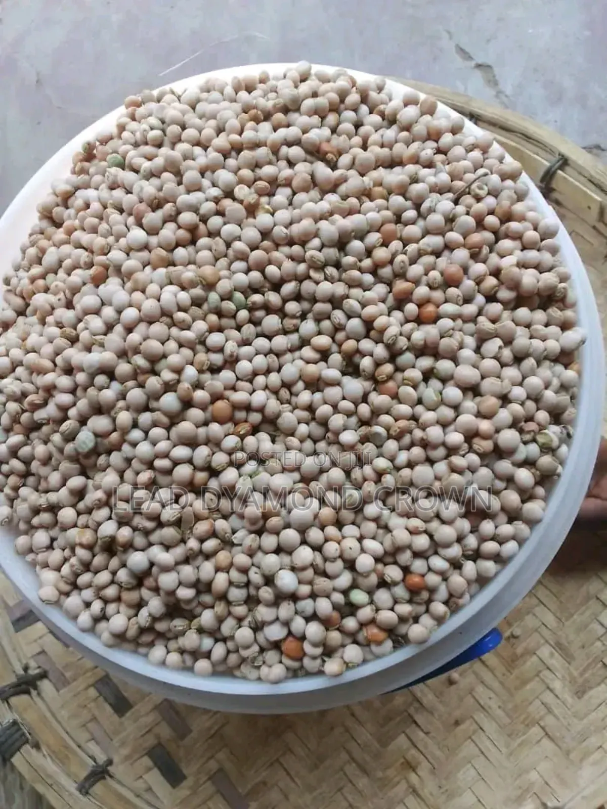 Cajanus Cajan (Pigeon Peas)