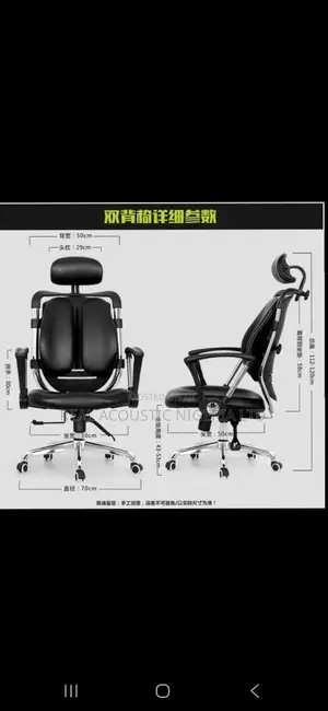Orthopedic Twin-Back Executive Chair
