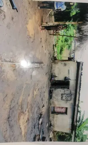 Land for Sale Along Lagos-Benin Expressway, Ore