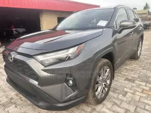 Toyota RAV4 XLE AWD 2024 Gray