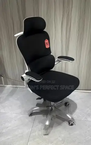 Ergonomic Executive Office Chair for Long Hours at Work
