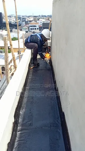 Ontology Roof Waterproofing Experts