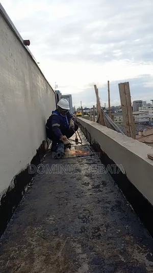 Hypothesis Roof Waterproofing Experts