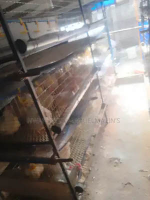 Broiler Mobile Cage 150-170 Capacity Available