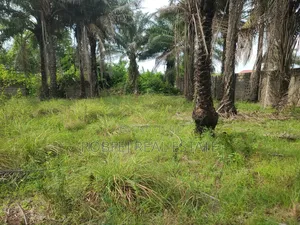 Own an Ocean View Plot for N9m