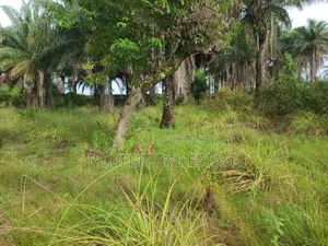 Own an Ocean View Plot for N9m