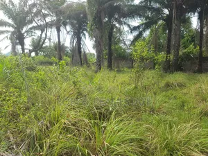 Own an Ocean View Plot for N9m