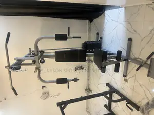 American Fitness Single Station Gym