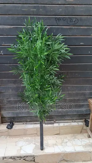 Bamboo Stick Tree Available as Seen