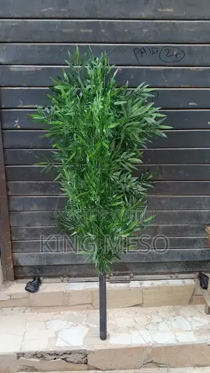 Bamboo Stick Tree Available as Seen