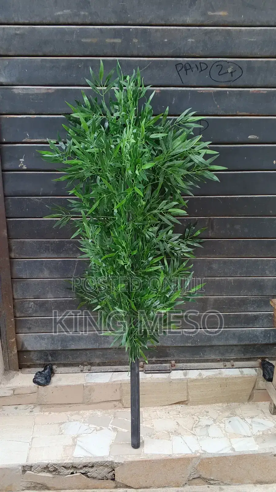 Bamboo Stick Tree Available as Seen