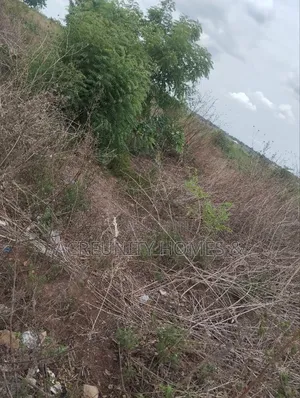200 Acres of Fertile Farmland–Kisanija Village, Okeho, Kajola Lg Oyo S