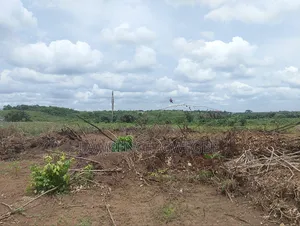 Wants To Buy Land In Ibeju-lekki Epe