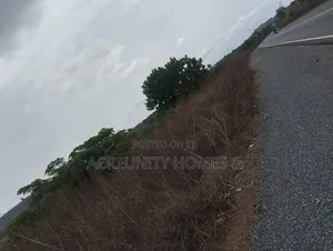 110 Acres of Fertile Farmland – Waasimi, Iseyin Local Govt, Oyo State