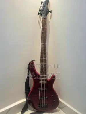 Bass Guiter