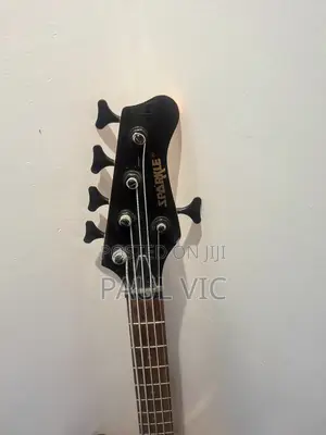 Bass Guiter