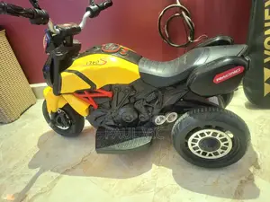 Kids Electric Bike