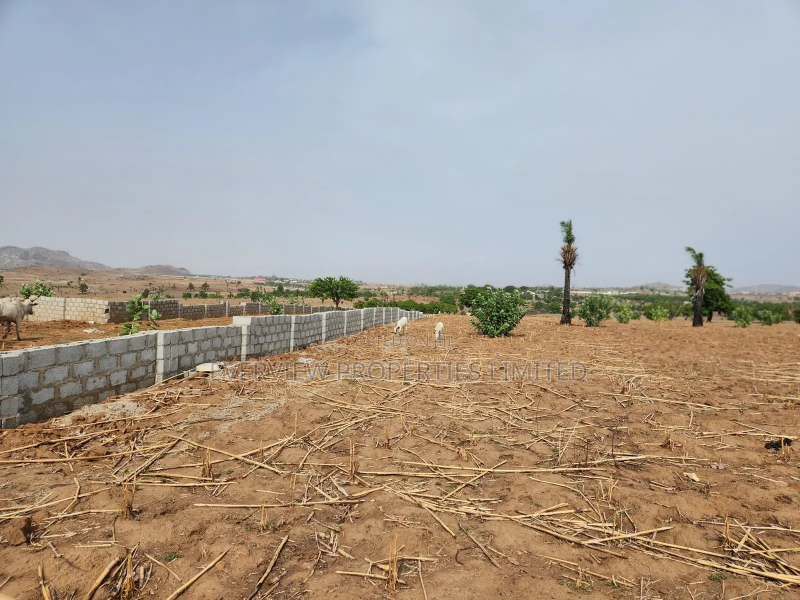 Get a Plot in Abuja as Low as 1.8 Million
