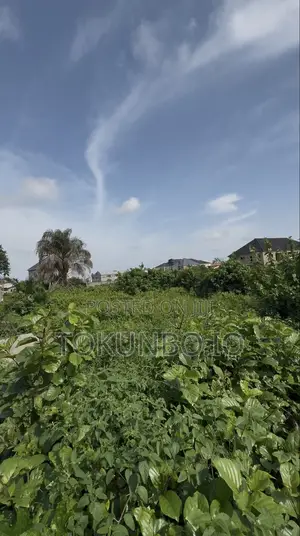 Half Plot of Land for Sale at Ogombo