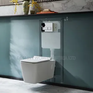 Wall Hung Toilet