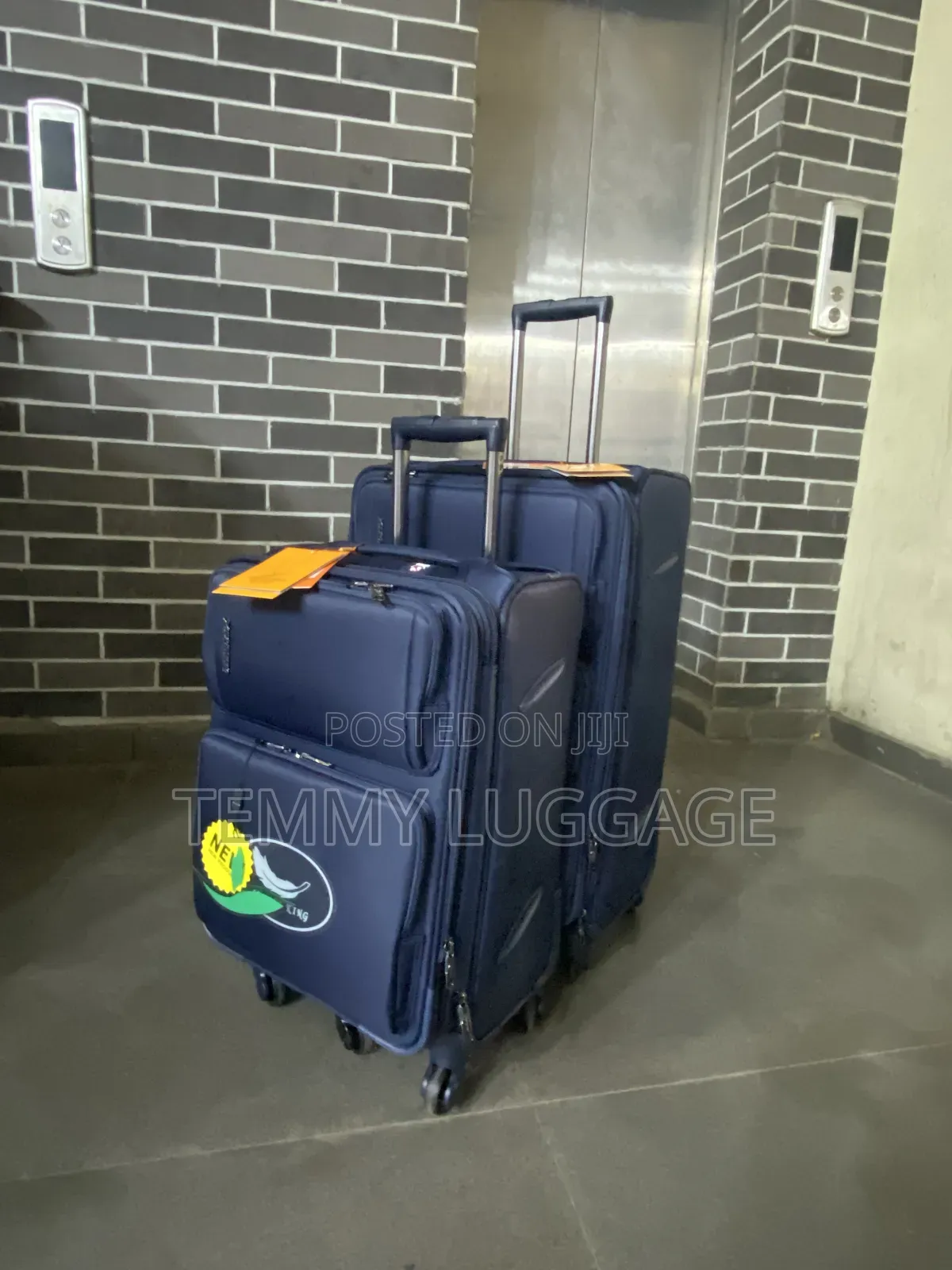 Leaves King Medium and Small Sizes Luggage Boxes