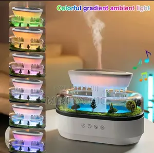 Air Humidifier Water Drip Micro Landscape Essential