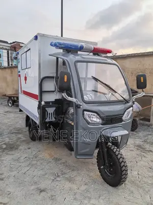 New Tricycle 2025 Gray