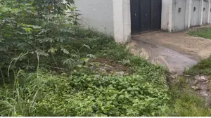 50*100 for Sale at Izakagbo Community