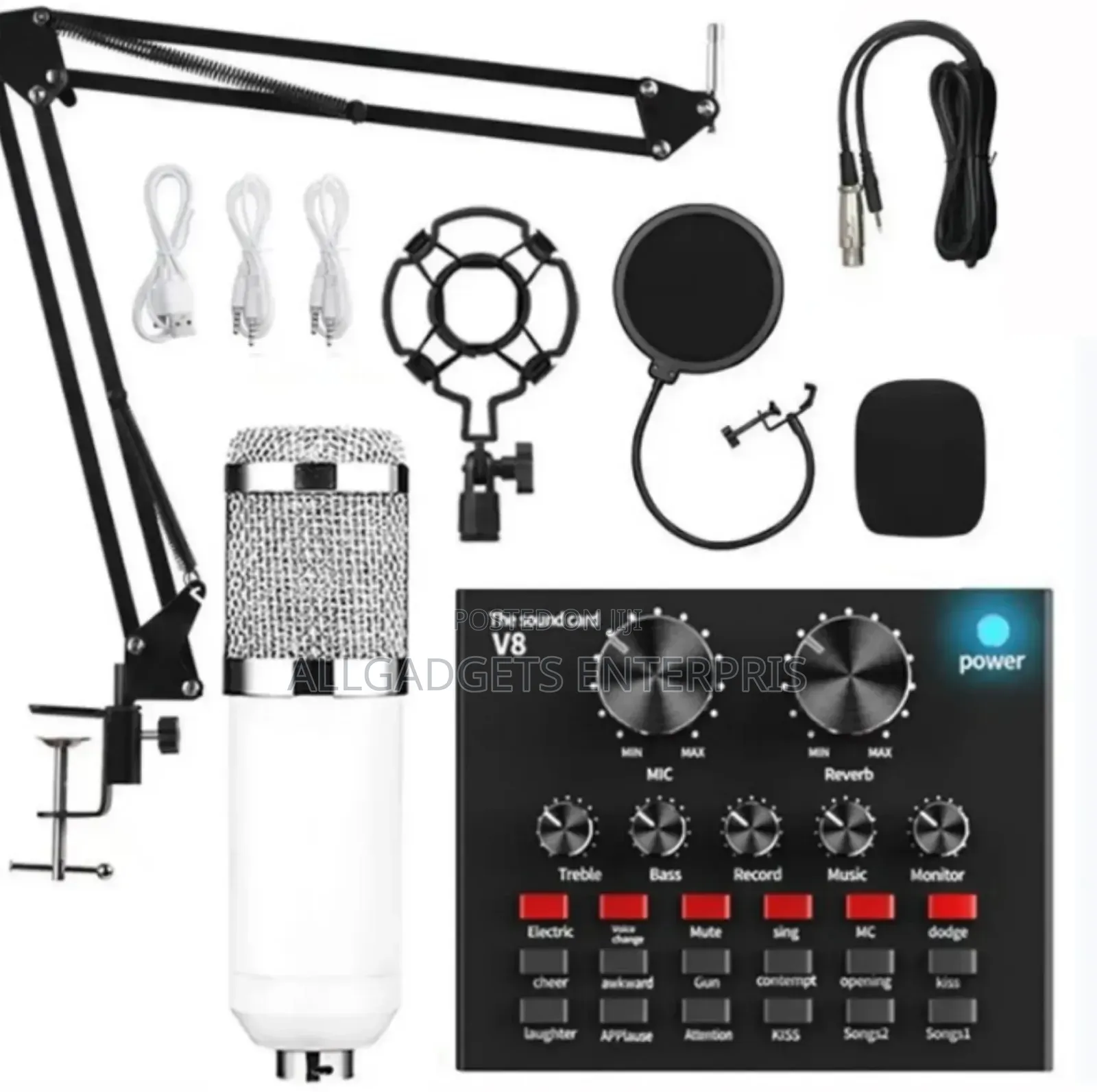 Professional Condenser Microphone
