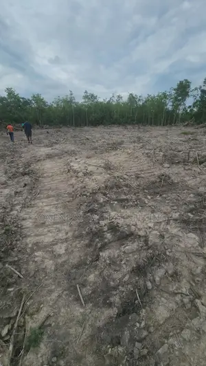 100ft by 50ft 72 Plots Remaining