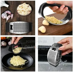 Stainless Steel Garlic Press