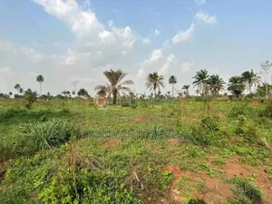 Large Plot of Land for Sale