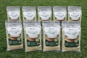 Sour White Garri
