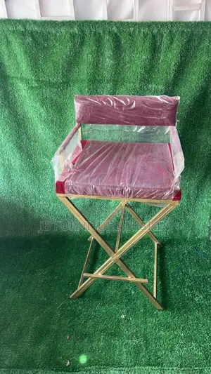 Director Fashion Chairs