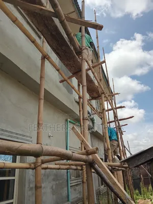 Exterior Wall Screeding and Painting