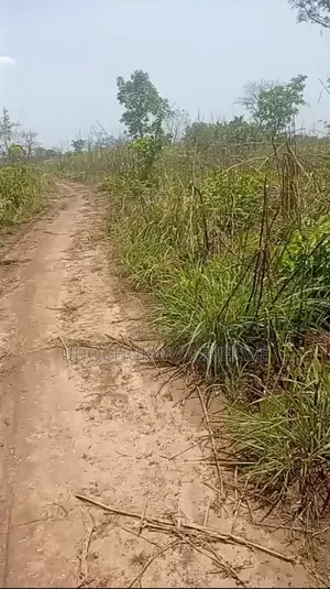 30 Sharp Plot of Land for Sale
