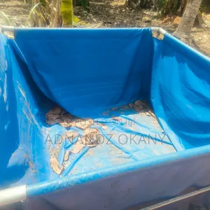 Fish Pond for Sale 1 Month Use Only Just Needed Money