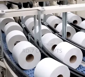 Toilet Tissue Paper Industry Setup Installation