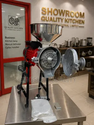 Industrial Wet and Dry Grinder