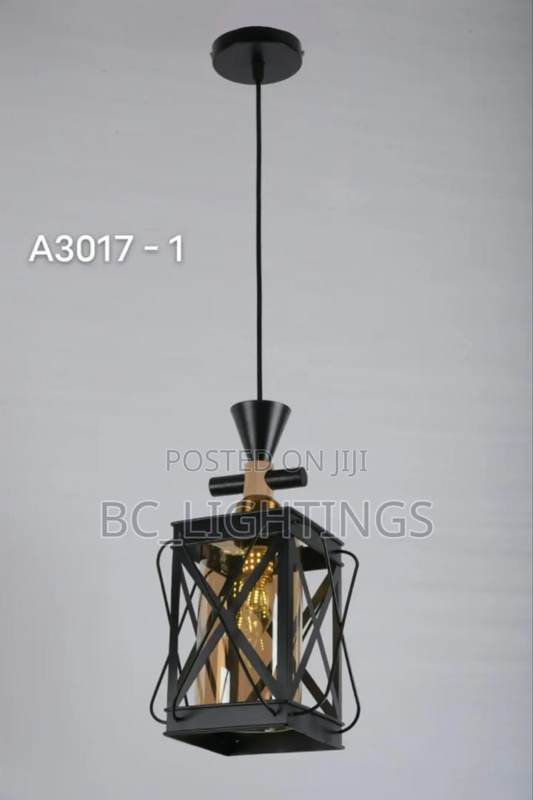Single Iron Dropping Pendant Light