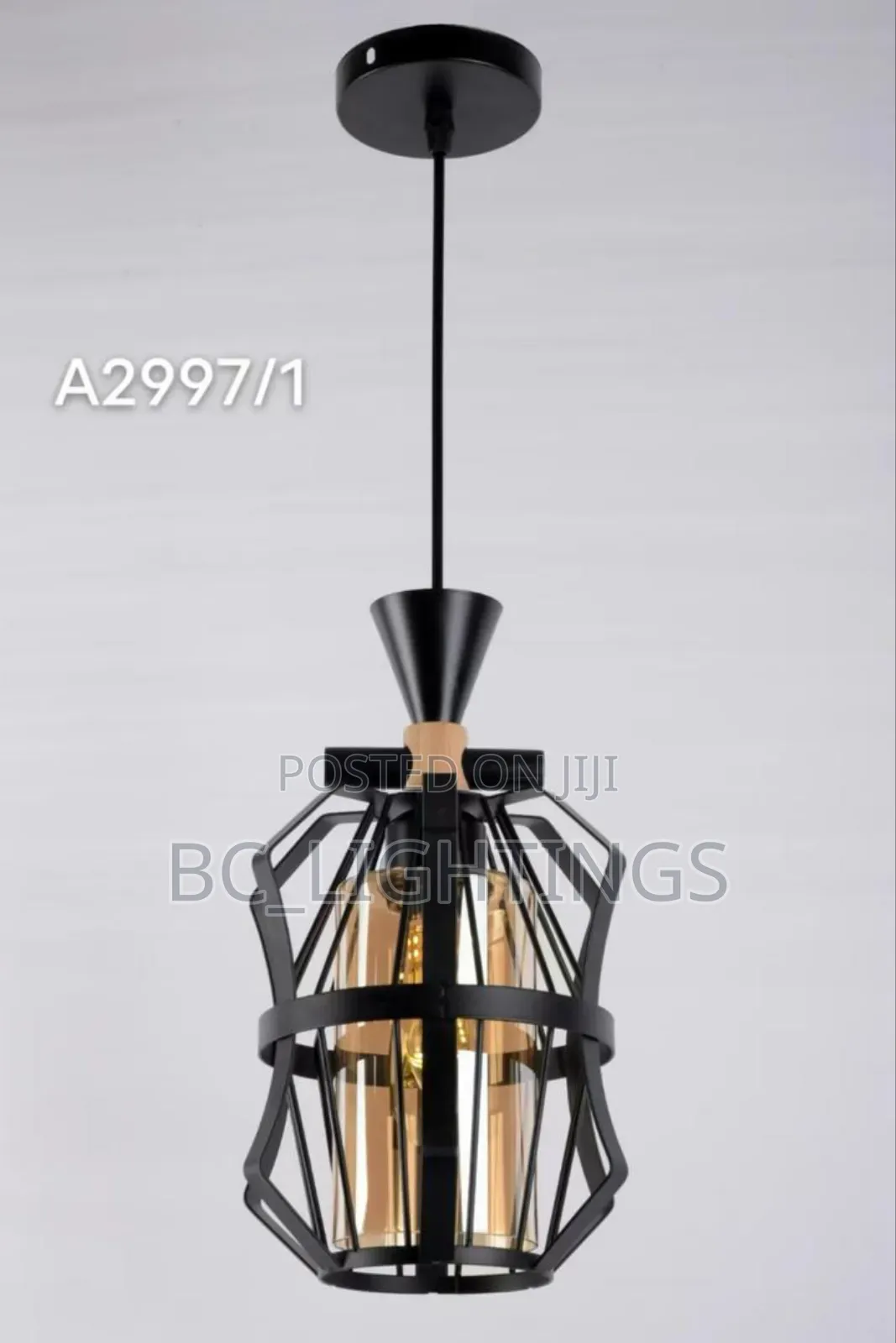 Single Iron Dropping Pendant Light