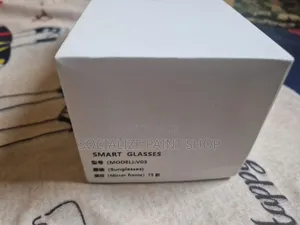 Smart Glasses