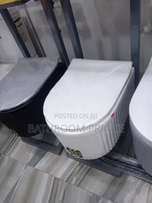 Luxury White Conceal Water Closet (Condict W.C)