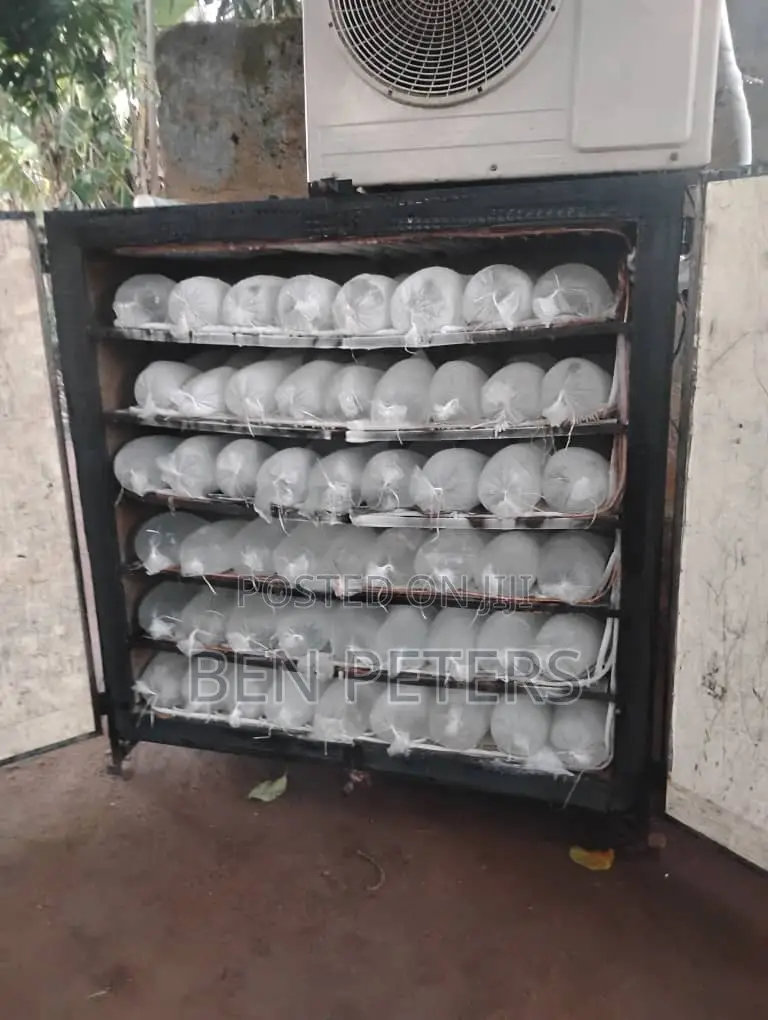 Ice Block Machine 120 Blocks Capacity