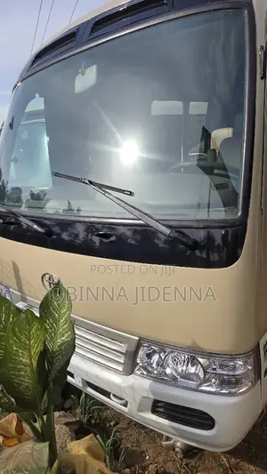 Toyota Coaster 2017 Brown