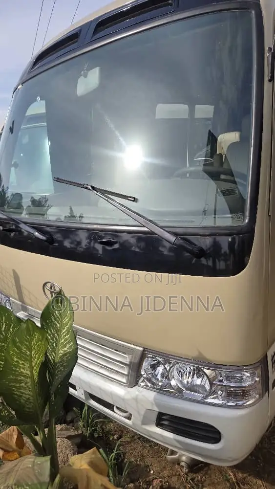Toyota Coaster 2017 Brown
