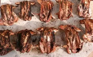 Meat Rabbit And Rabbit Meat