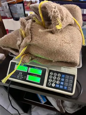 Transportation and Export Bag