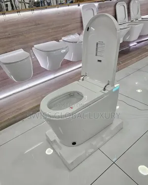 Smart Sensor Wc With Remote Control System