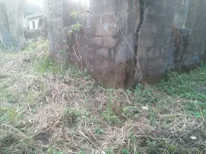 A Plot of Land